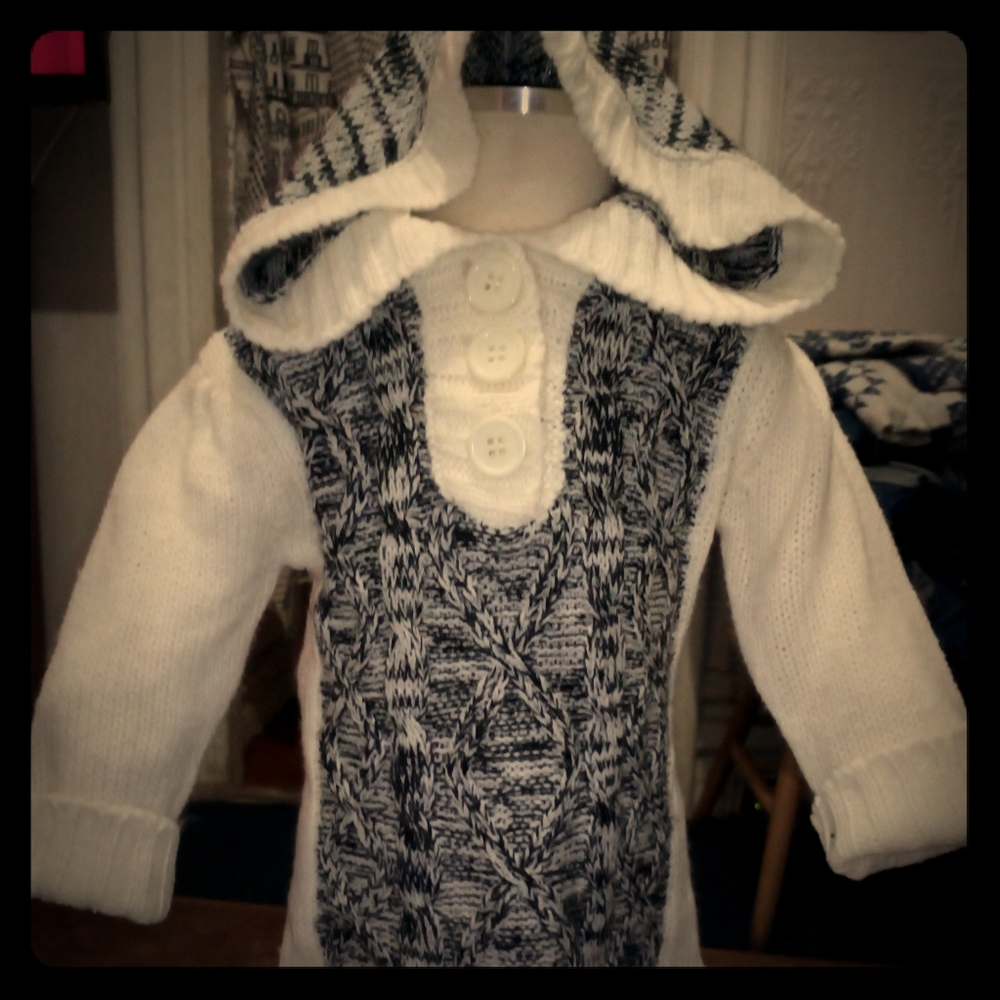 Cute Sweater Toddler  ((Size 9 - 12 mos.))